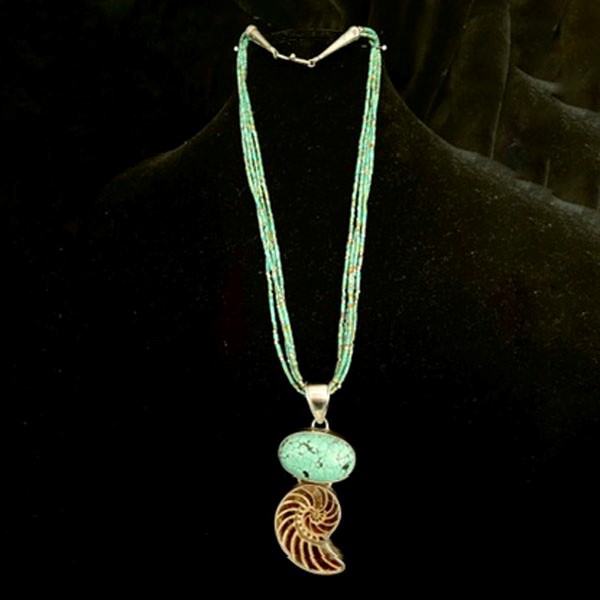 turquoise sterling silver necklace with a fossilized nautilus as pendent